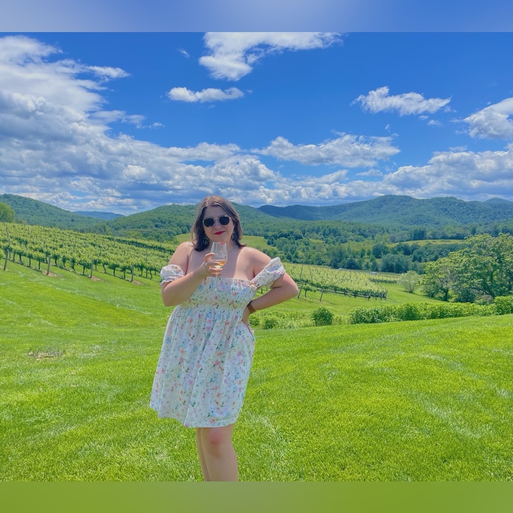 Abercrombie Emerson Poplin Mini Dress